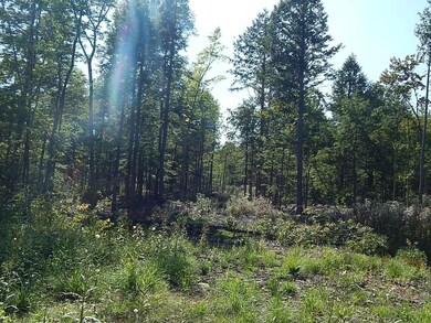 0 Fosterville Rd unit 1468005, Bridgton, ME 04009 - photo 6