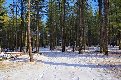 10 Winston Rd, Ronald, WA 98940 - photo 2