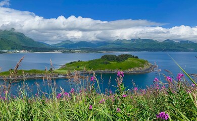 6028 Cliff Point Rd, Kodiak, AK 99615 - photo 7