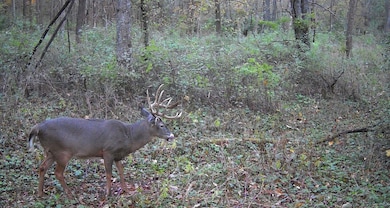 0 Koecke Ln, Wyalusing, WI 53801 - photo 5