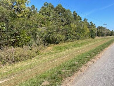Ricky Layne Hwy 28
