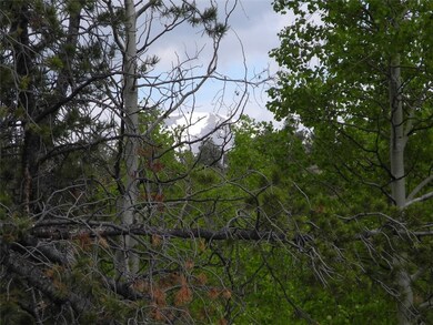 304 Old Squaw Rd, Como, CO 80432 - photo 2