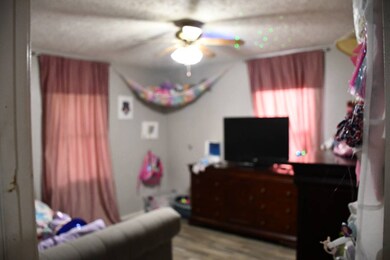 22952 260th St, Shady Point, OK 74956 - photo 4