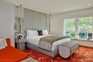 550 S Spring St unit F2-6, Aspen, CO 81611 - photo 5