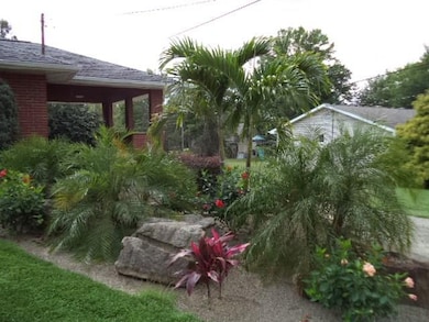 Tropical Paradise....palm trees are included !!