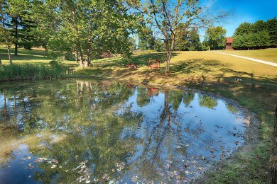 Pond.