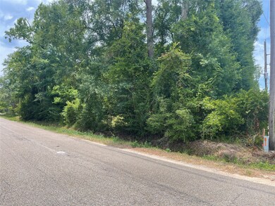 00 Roy Ln, Magnolia, TX 77354 - photo 2