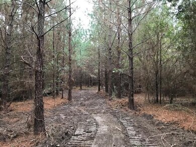 000 Airport Rd, Tylertown, MS 39667 - photo 3