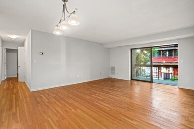 41 Centre St unit 203, Brookline, MA 02446 - photo 4