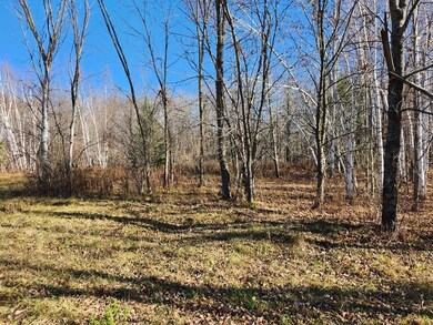 W6926 Mae Rd W, Ladysmith, WI 54848 - photo 6