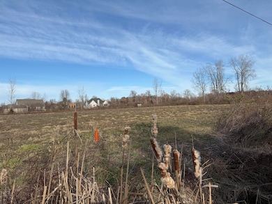 lot 1 Macey Rd, Willis, MI 48191 - photo 4