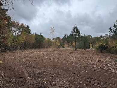 0 Barren Fork Dr unit RTC3034041, Bon Aqua, TN 37025 - photo 3