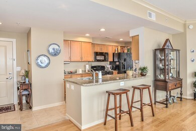 Elan East Market Condominiums unit 704, Fairfax, VA 22033 - photo 5