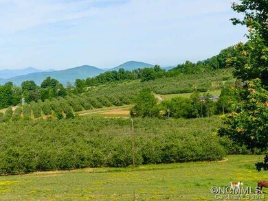 Panoramic Views