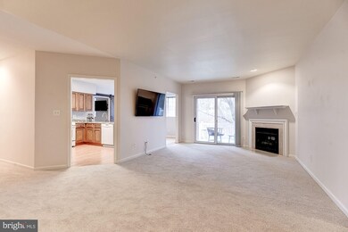 14 Bandon Ct unit 203, Lutherville Timonium, MD 21093 - photo 3