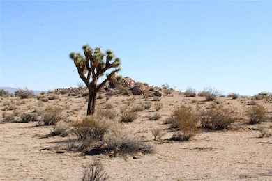 20999 Bella Vista Dr, El Mirage, CA 92301 - photo 7