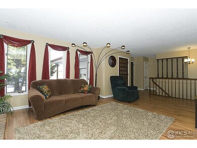 Windowed, Open Living