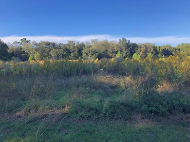 000 Pear St, Pavo, GA 31778 - photo 3