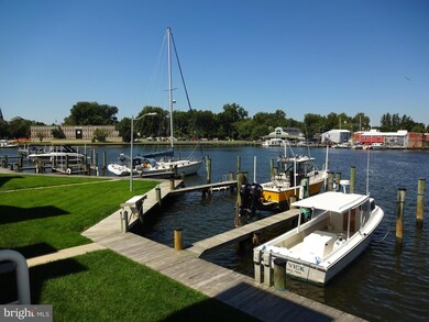 314 Cambridge Landing unit A, Cambridge, MD 21613 - photo 3