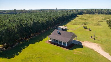 14183 Georgia 93, Baconton, GA 31716 - photo 7