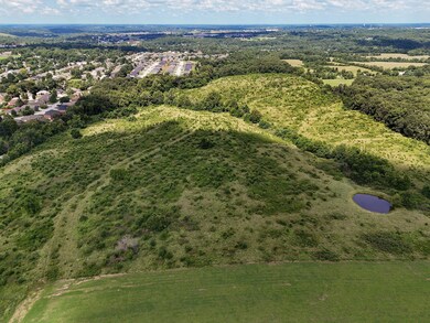 Tract 5 E Hawkins Ct, Ozark, MO 65721 - photo 7