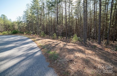 3426 Ella Marie Way unit 62, Nebo, NC 28761 - photo 7