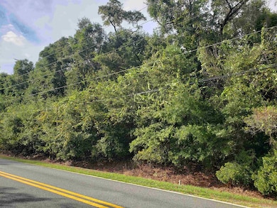 0 Lonnie Rd unit 392431, Tallahassee, FL 32308 - photo 3