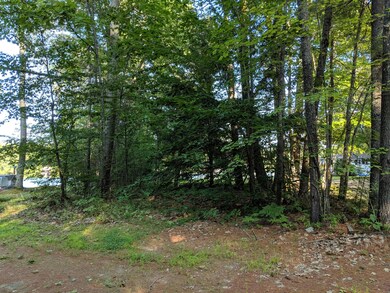 Babes Kaye Lane 30 foot ROW wooded path