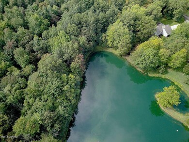 Pond View