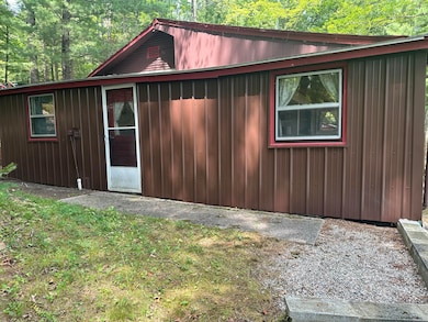 9572 S Oxeye Ave, Baldwin, MI 49304 - photo 6