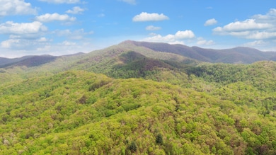 385 Elrod Cir Turtletown TN-print-005-00