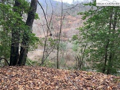 TBD Fall Creek Rd, Purlear, NC 28665 - photo 4