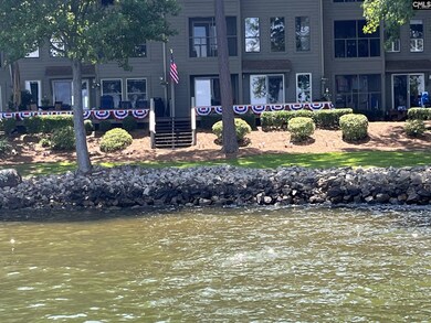 1441 Old Chapin Rd unit 212, Lexington, SC 29072 - photo 4