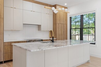 236 Chapel St unit 2, Newton, MA 02458 - photo 4