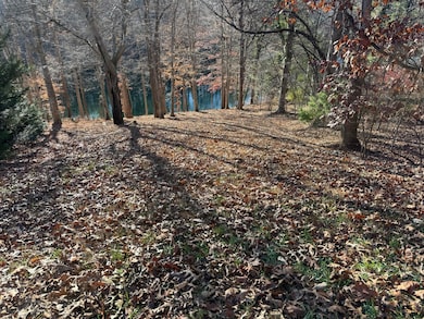 Lot 3 Aspen Way, Moneta, VA 24121 - photo 2