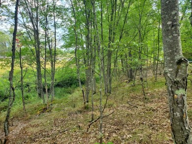 00 N Beaver Trail, Lilley Township, MI 49309 - photo 5