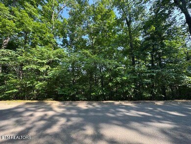 street pic lot 177 #2