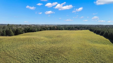 Lot 1 & 2 Maple Ln, Grant, WI 54486 - photo 6