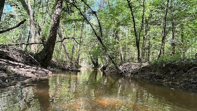 0 Lloyd Mill Rd unit LotWP001, Andalusia, AL 36421 - photo 7