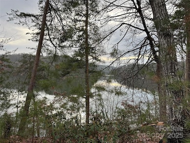 00 Jackson Cove Pkwy unit 2, Mill Spring, NC 28756 - photo 2