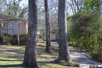 Amazing mature trees line the driveway and add beauty to the entire property.