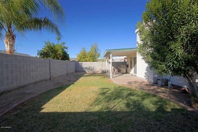 Backyard 1