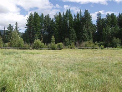 Beautiful Meadow