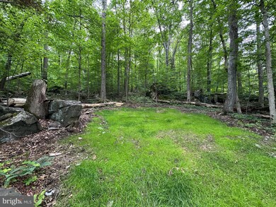 2751 Swamp Creek Rd, Red Hill, PA 18073 - photo 4