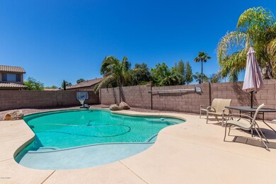 Large Fenced Play Pool