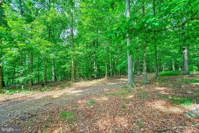 40338 Foxfield Ln, Leesburg, VA 20175 - photo 2