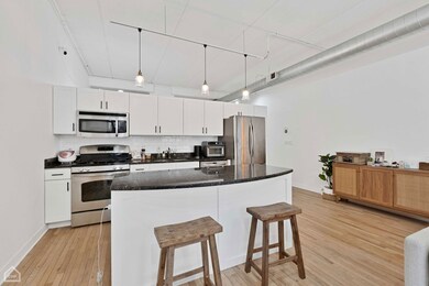 Cinema Lofts unit 207, Chicago, IL 60657 - photo 6