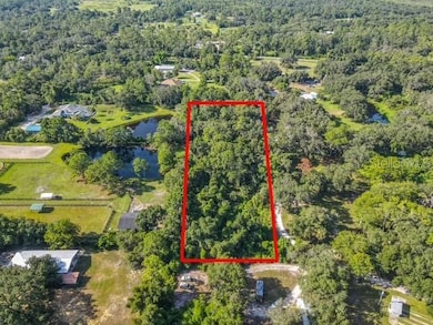 13 Bobcat Ln, Osteen, FL 32764 - photo 2