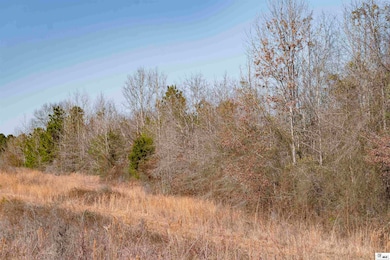 0 China Grove Rd, Ruston, LA 71270 - photo 2