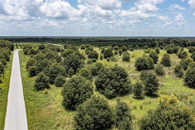 0 SW Hull Ave unit MFRN6141610, Arcadia, FL 34269 - photo 4